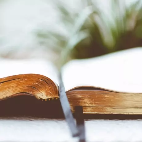 Open Bible